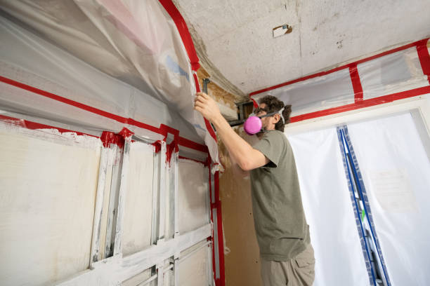 Best Post-Construction Mold Inspection  in Rutgers University Livingston Campus, NJ