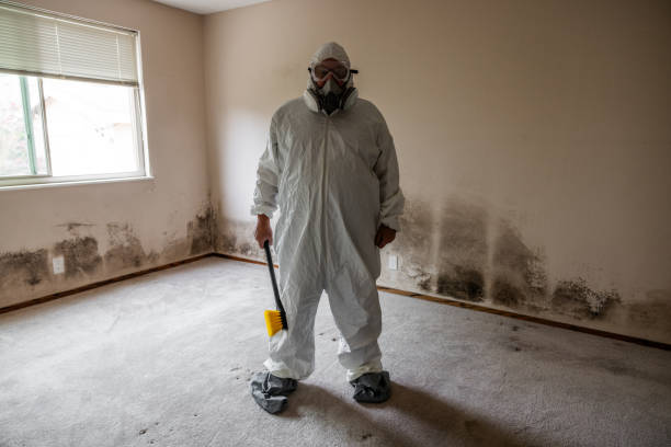 Best Mold Remediation for Healthcare Facilities  in Rutgers University Livingston Campus, NJ